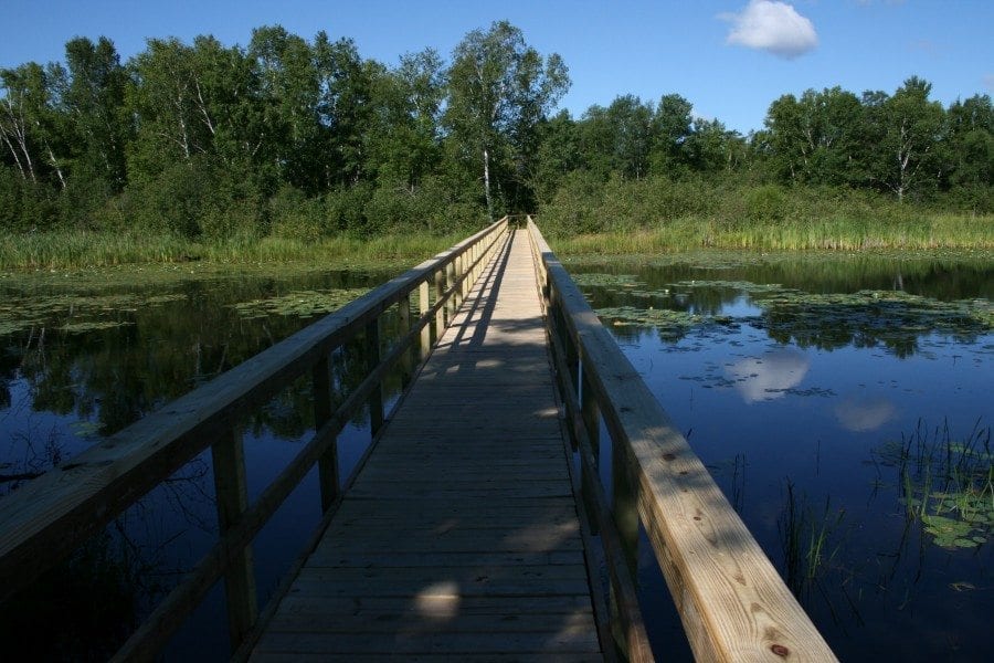 wetland bridge crosslake mn