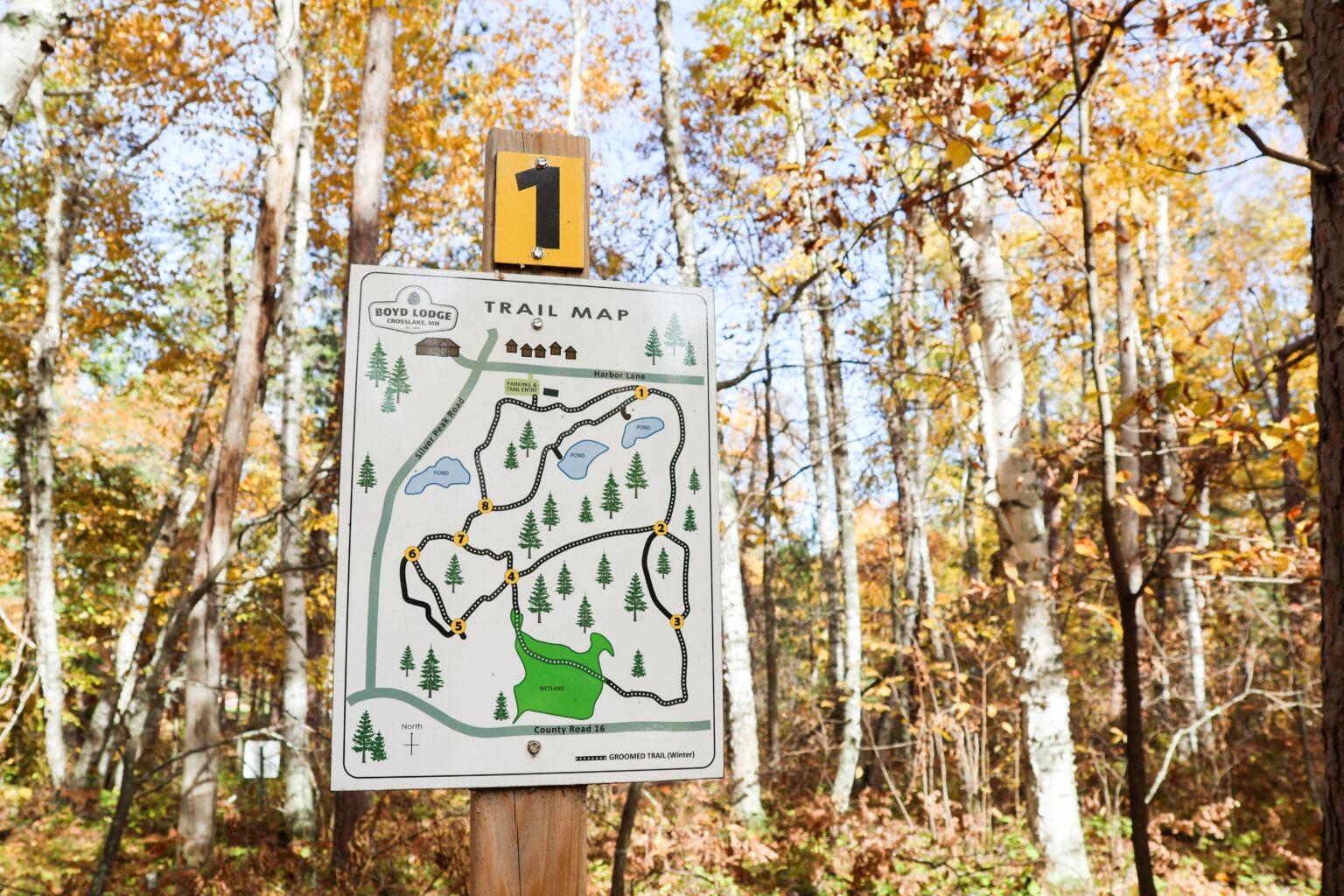 Explore miles of private trails for hiking and cross-country skiing at Boyd Lodge in Crosslake, Minnesota